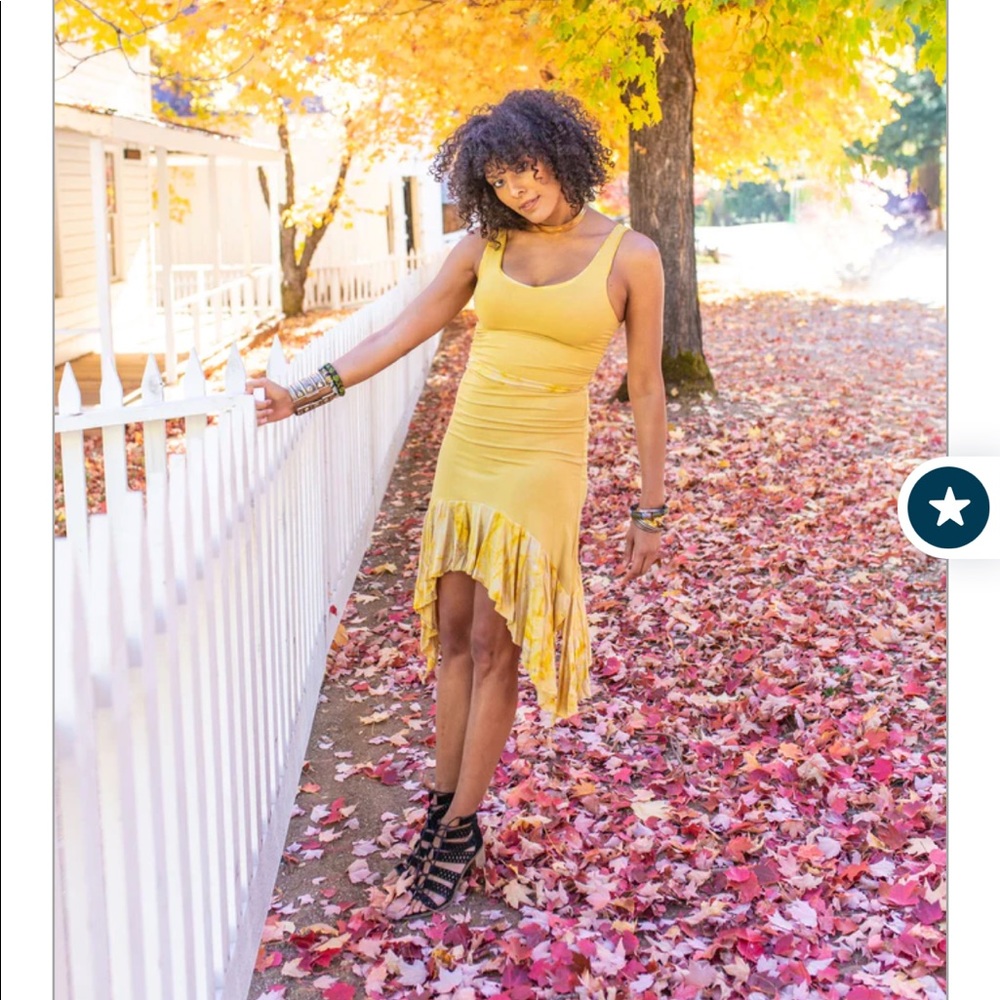 Phoenix Rising Asli Dress Sz S